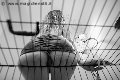 Foto Incontro Mistress Verona Lady Giuliette - 16