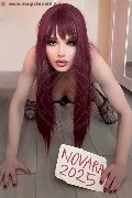 Foto Incontro Trans Bianca Occhiblu - 9