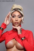 Foto Incontro Trans Milano Karollayne Arruda - 41