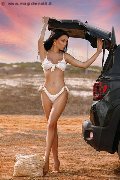 Foto Incontro Trans Modena Vanessa Hilton - 109