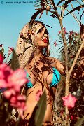 Foto Incontro Trans Roma Chrystal Medeiros Pornostar - 38