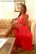 Foto Incontro Transescort Bergamo Erotika Flavy Star - 442