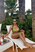 Foto Incontro Transescort Bergamo Erotika Flavy Star - 405