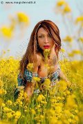 Foto Incontro Transescort Bologna Monica Kicelly - 202