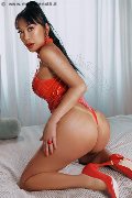 Foto Incontro Transescort Faenza Vanessa Midori - 1
