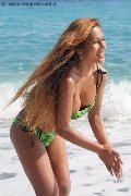 Foto Incontro Transescort Liisa Asiatica Ladyboy - 311
