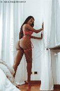 Foto Incontro Transescort Milano Maya Venere - 73
