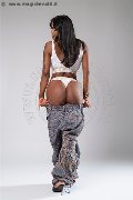Foto Incontro Transescort Milano Sofhia Castyllo - 15