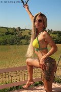Foto Incontro Transescort Parma Bruna Xxl - 6