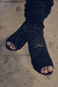 Foto Incontro Transescort Ponte Chiasso Marcella Pops - 239