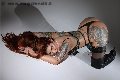 Foto Incontro Transescort Torino Foxxy Jasmine - 15