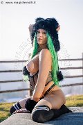 Foto Incontro Transescort Verona Kika Doncato - 81