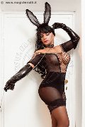 Foto Incontro Travescort Zurigo Jady Cubana Anaconda - 3