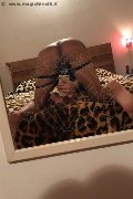 Conegliano Trans Natalia Rodrigues Pornostar 392 11 96 784 foto selfie 38