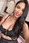 Gallarate Trans Thayys Castro 329 72 89 046 foto selfie 18