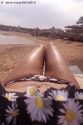 Treviso Trans Valeria 338 87 18 849 foto selfie 1069