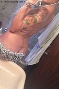 Treviso Trans Valeria 338 87 18 849 foto selfie 1029