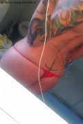 Treviso Trans Valeria 338 87 18 849 foto selfie 693