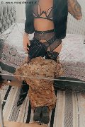 Treviso Trans Valeria 338 87 18 849 foto selfie 43