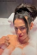 Conegliano Trans Escort Natalia Rodrigues Pornostar 392 11 96 784 foto selfie 6