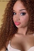 Cuneo Trans Escort Evelyn Domenicana 351 61 54 564 foto selfie 8