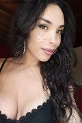  Trans Escort Fernanda Tavares 366 70 13 803 foto selfie 44