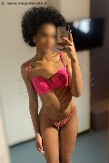 Legnano Trans Escort Miele 331 78 08 280 foto selfie 22