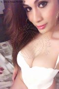 Monza Trans Escort Flavia Araujo 389 28 81 250 foto selfie 27