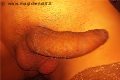 Napoli Trans Escort Vittoria Mazza 334 77 63 969 foto selfie 18