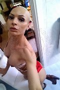Piacenza Trans Escort Alessia Bona Bionda Massage 333 90 04 687 foto selfie 3
