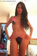 Torino Trans Escort Livia Andrade 350 92 73 666 foto selfie 11