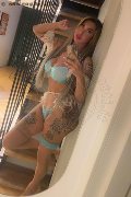 Viareggio Trans Escort Dafne Pornostar 380 14 22 205 foto selfie 17