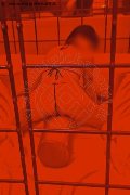 Foto Hot Incontro Escort Varese Giada - 1