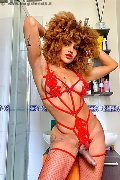 Foto Hot Incontro Transescort Milano Stella - 5