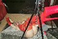 Foto Incontro Mistresstrans Roma Mistress Laura - 16