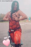 Foto Incontro Transescort Alessandria Suzana Pantera - 89