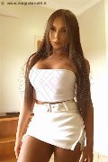Foto Incontro Transescort Novara Mirella Brasiliana - 3