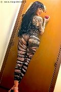 Foto Incontro Transescort Prato Heron - 2