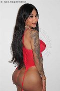 Foto Incontro Transescort Roma Mikaella Pimentell Pornostar - 3