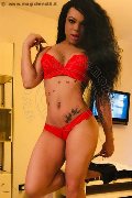 Foto Incontro Transescort Treviso Dior - 453