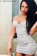 Foto Incontro Transescort Treviso Dior - 399