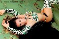 Foto Incontro Transescort Verona Bella Solare - 23